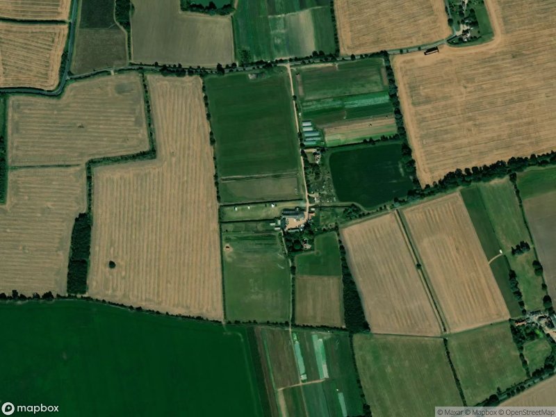 next
